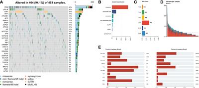 Plasma-only circulating tumor DNA analysis detects minimal residual disease and predicts early relapse in hepatocellular carcinoma patients undergoing curative resection